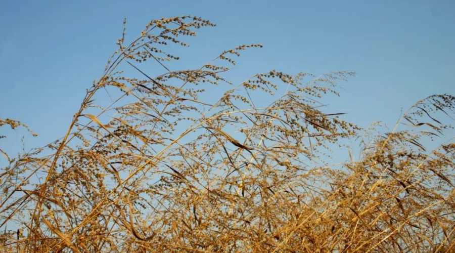 High Winds Cause Power Outages Across NB
