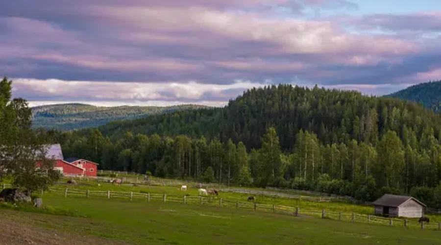 Union Says Next Generation Of NB Farmers Need Support