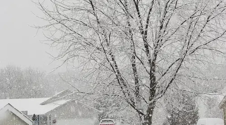 Most Of NB Likely To Have White Christmas