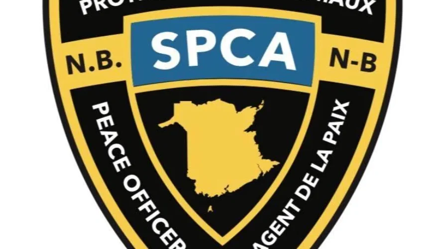 Over Fifty Dogs Seized From NB Kennel