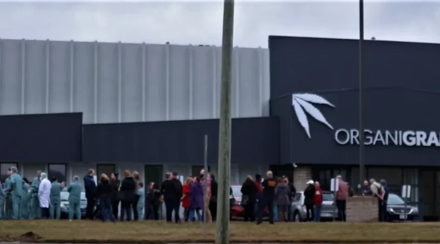 Organigram Employees Evacuate Following Small Fire