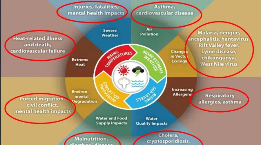 Pilot Project To Help Better Understand Climate Change-Health Link