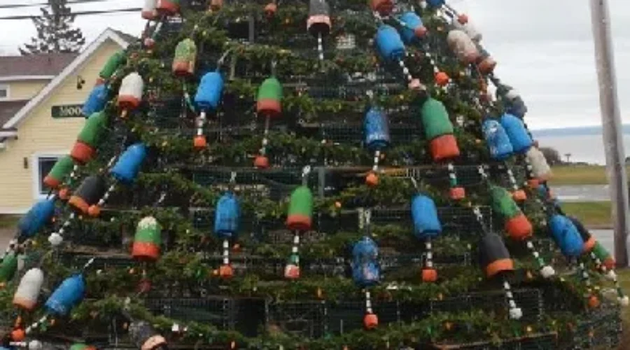 New Lobster Trap Christmas Tree Tradition For Alma