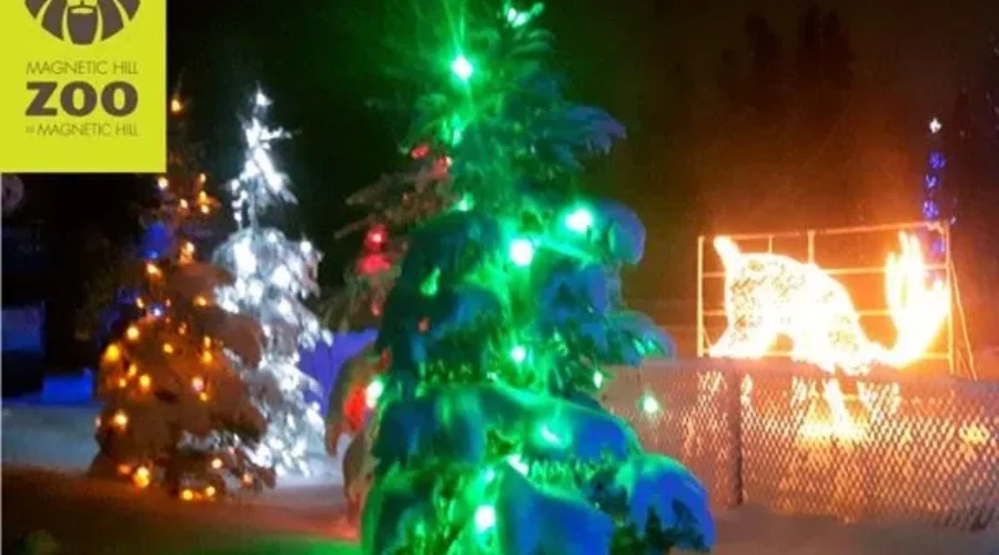 Food Banks To Benefit From Wild Lights Event