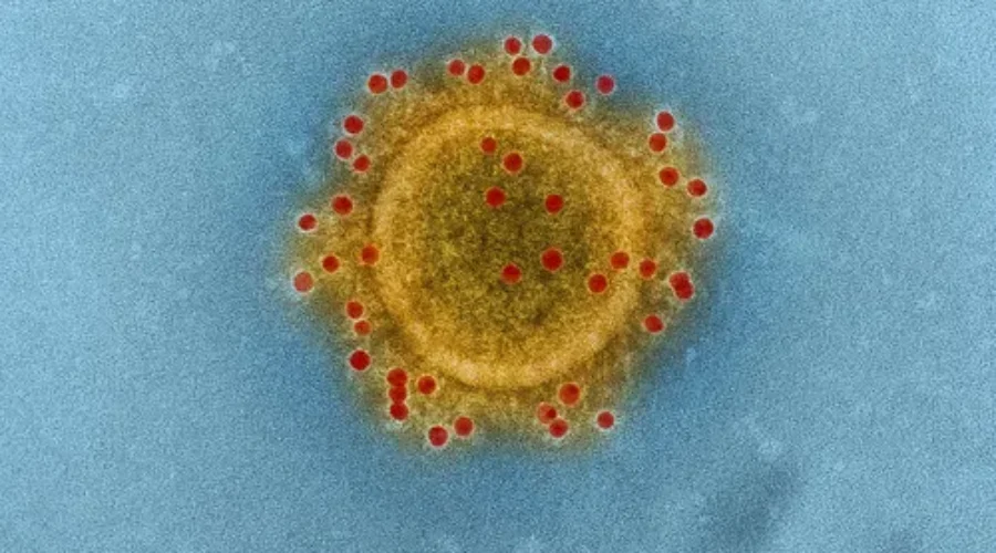 Ontario Has ‘Presumptive’ Case Of Coronavirus
