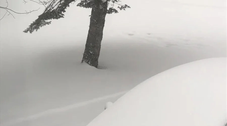 Clean-Up Continues After Heavy Snowfall in New Brunswick
