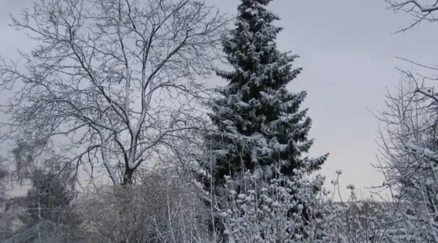 Avoiding Frostbite And Hypothermia