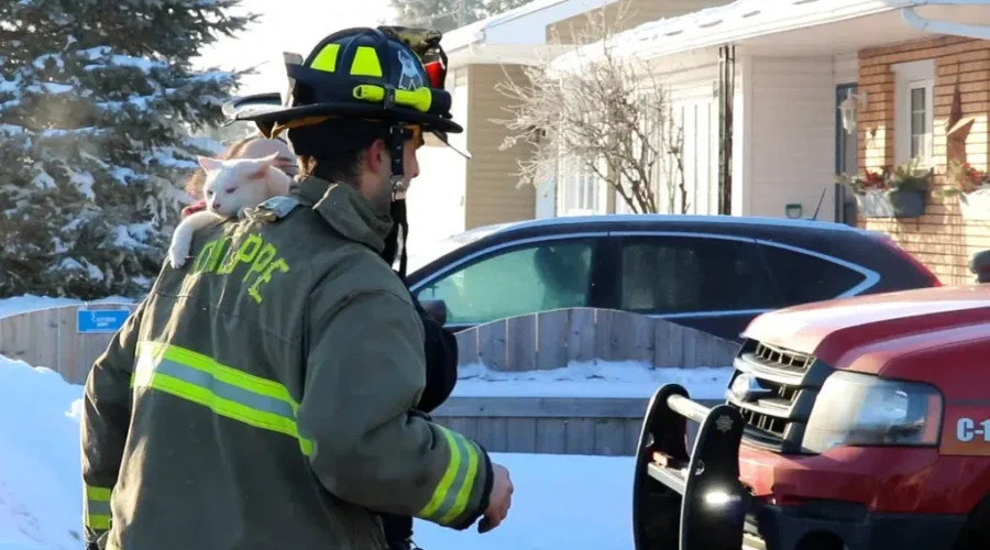 Dieppe Fire Battles Blaze At Harold Street Residence