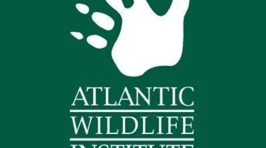 Care Of Animals Costly, Public Donations Needed For Atlantic Wildlife Institute