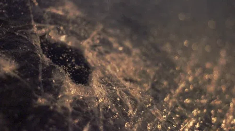 Windshield Repairs Rise In Winter Months