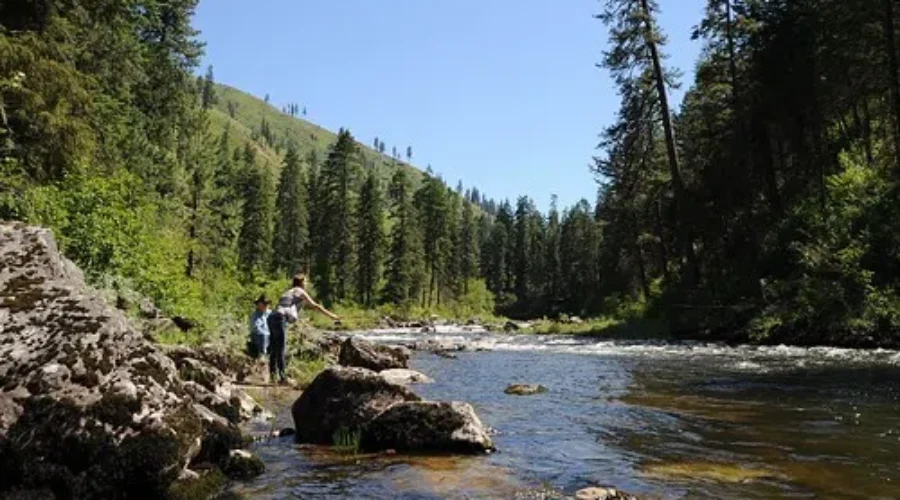 Calling All Anglers! Applications Being Accepted Now To Fish Crown Reserve Waters