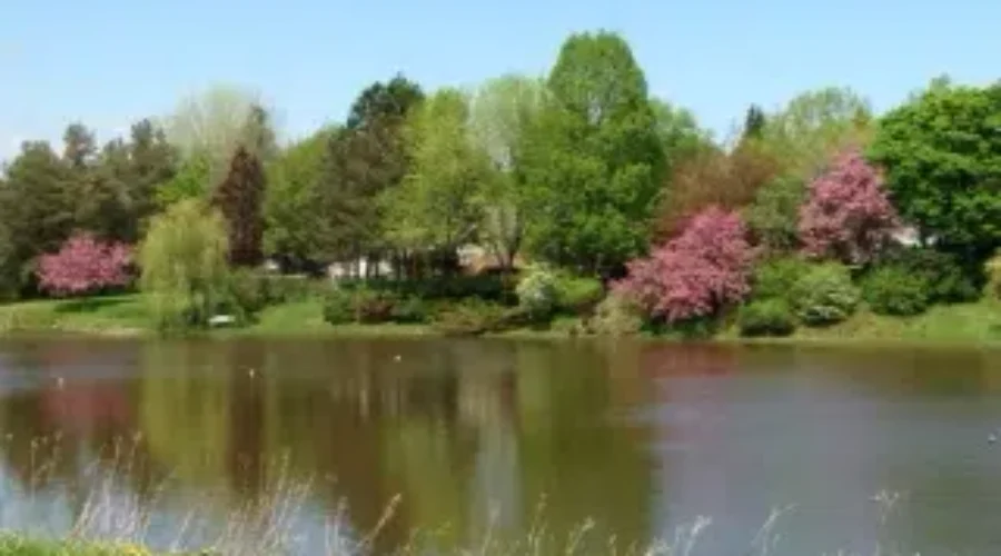 Spring Arrives In New Brunswick