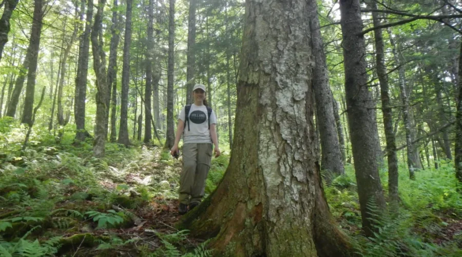 Nature Reserve Expanded Near Riverside-Albert