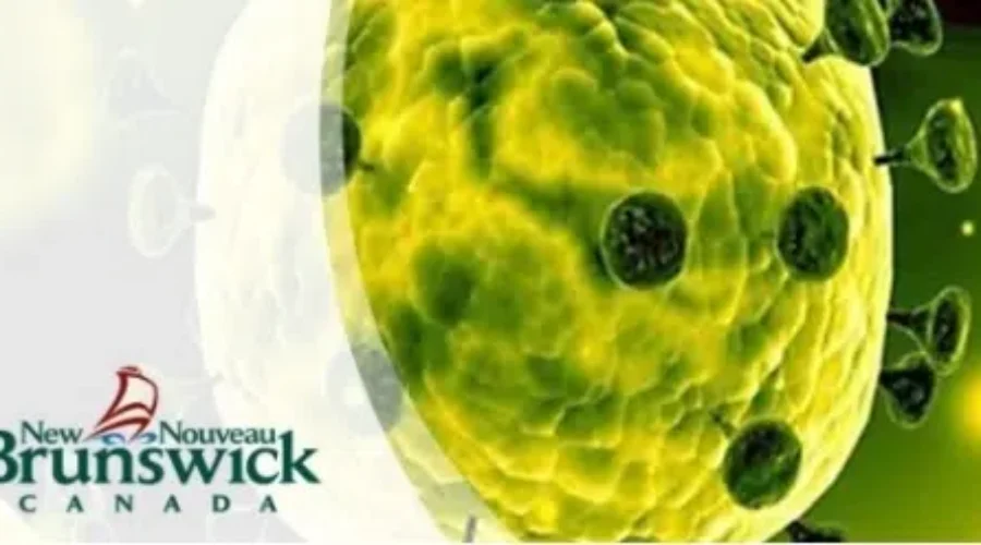 Travellers Now Being Told To Stay Home After Trips Out Of Country