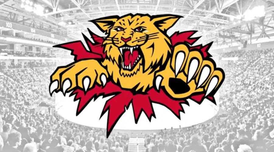 Moncton Wildcats Stellar Season Abruptly Ends