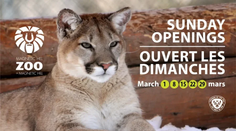 Zoo Hosts Special Sunday Winter Openings