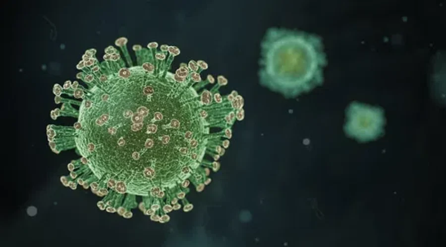 One New COVID-19 Case In N.B., 87 Recoveries