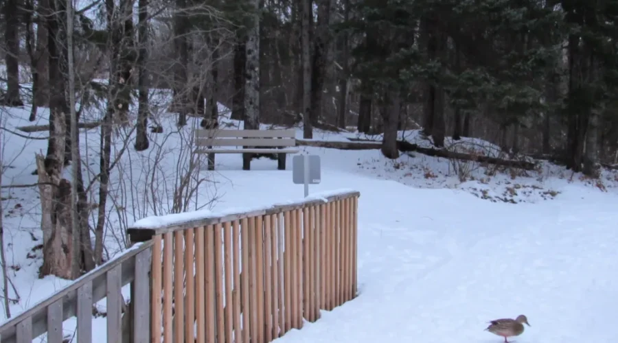 Municipal Walking Trails Now One Way Only