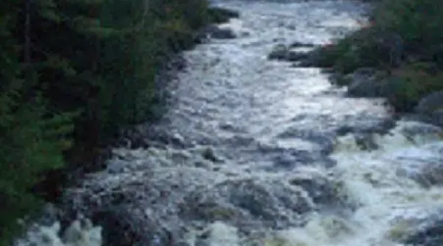 Pollett River Run Moved Online This Year Due To COVID-19