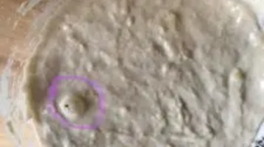 Sourdough Starter: Day 2