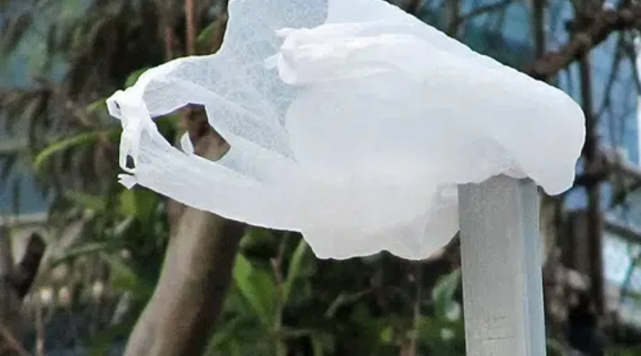 City of Moncton Delays Plastic Bag Ban