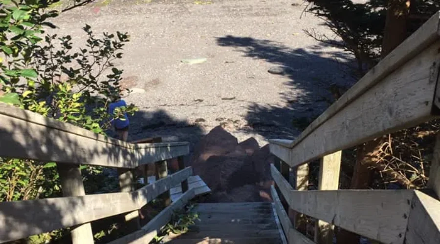 Looks Like It’s A Staycation This Year!