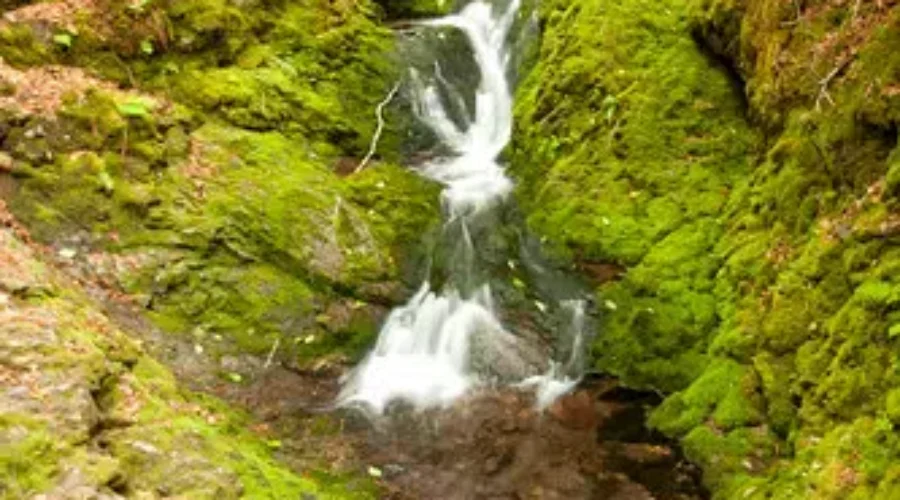 National Parks in NB To Remain Closed For May Long Weekend