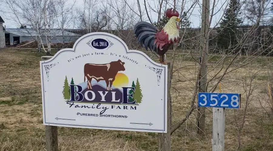 Fresh Air Market Helps To Support Local Farmers Through COVID-19 Pandemic