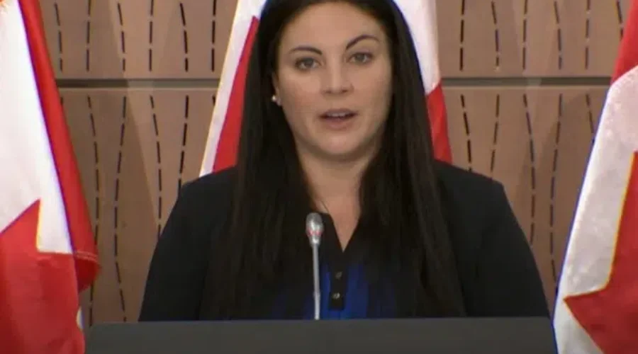 Green MP Calls For Action On Mental Health