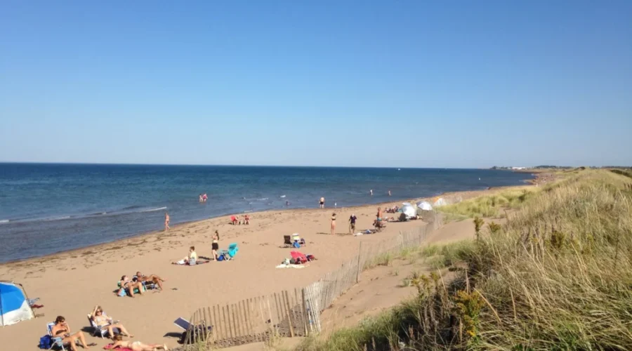 What Are the Best Beaches in New Brunswick?