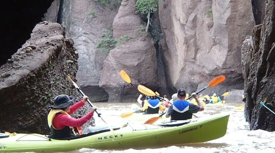 Business Hopes Staycation Includes Plan To ‘Kayak The Rocks’