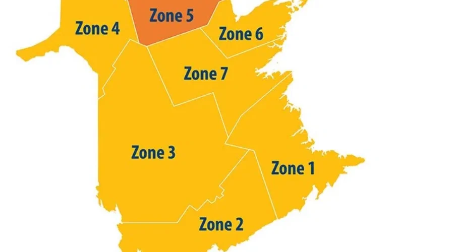 Three New COVID-19 Cases In N.B. Zone 5