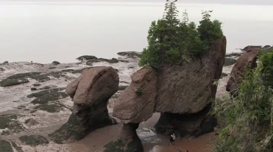 Hopewell Rocks Ready To Welcome Guests