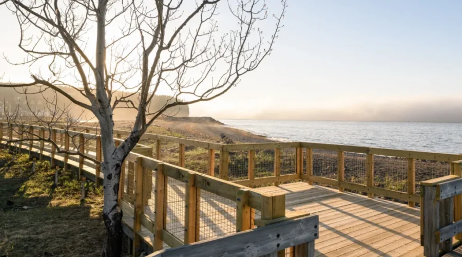 Fundy National Park Opens With Limited Visitor Access