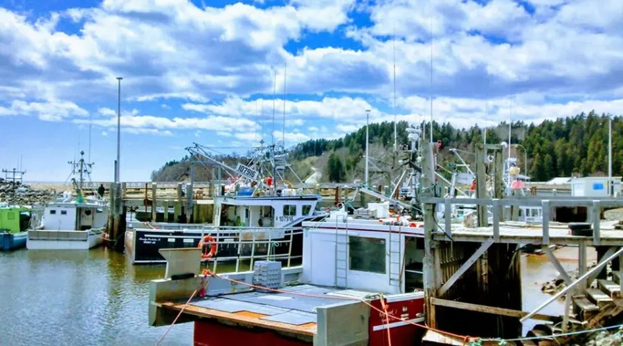 Alma Remaining Optimistic About Difficult Tourism Season