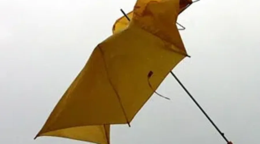 Thousands Still Without Power Following Fredericton Storm