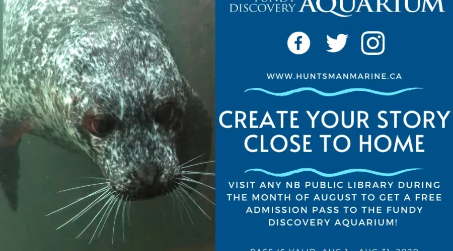 For your New Brunswick staycation!