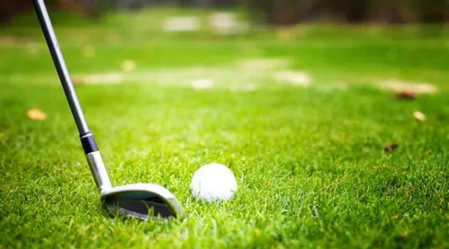 Golfers Hitting The Links More Often