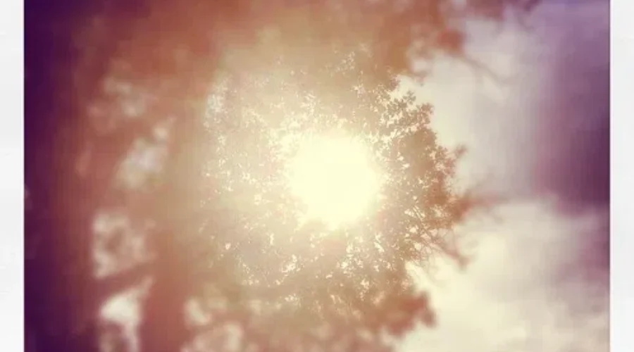 Heat Warning In Effect For Most Of N.B.