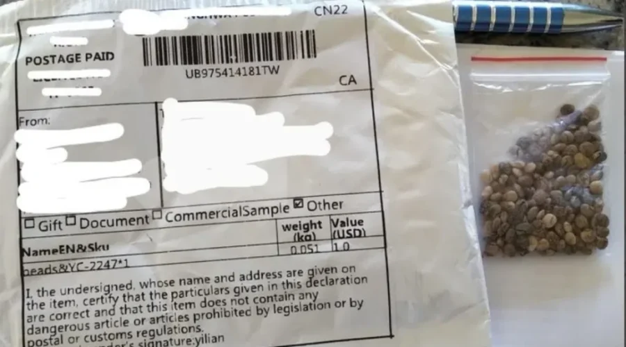CFIA Warns Of Unidentified Seeds Being Mailed To Canadians