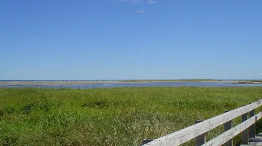 Fundy or Kouchibouguac?