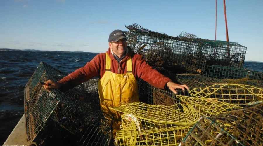 N.B. Association Looks To Recycle Lobster Traps