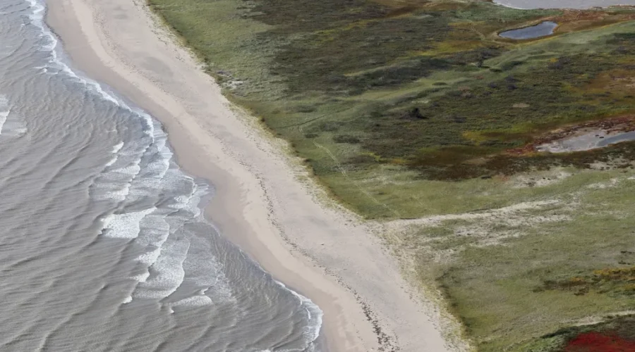 NCC Expands Migratory Bird Conservation