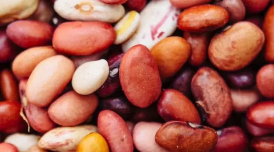 TODAY IS EAT YOUR BEANS DAY