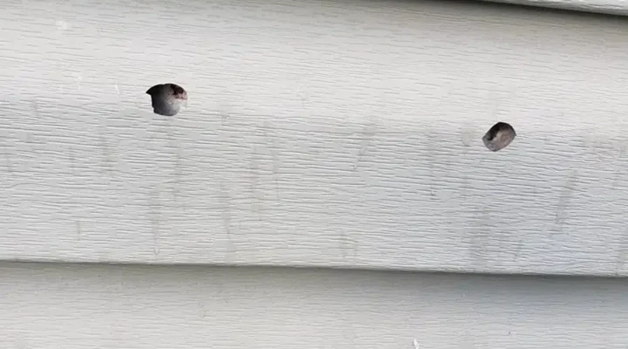 Attack On Sunny Brae Home Shocks Family