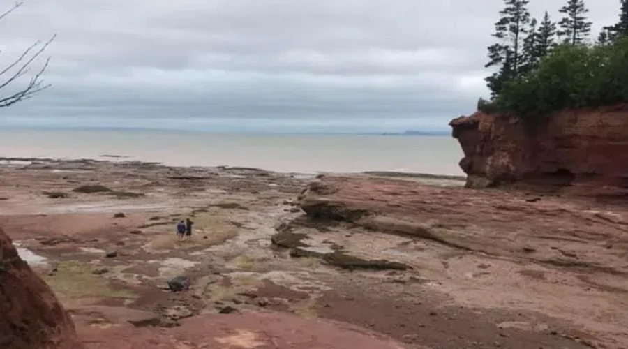 Where Have You Been Staycationing?