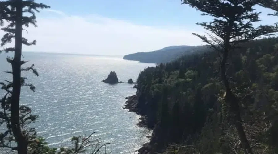 Staycationed at Fundy yesterday