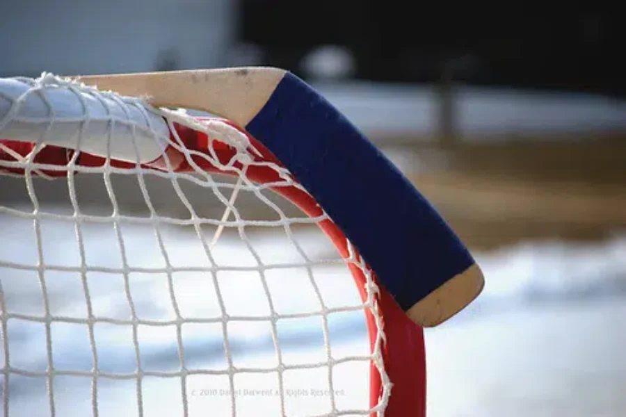 A Demand For Lower Ice Rates To Support Youth Sports