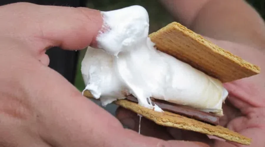 Celebrate S’mores Day with These Fancy S’mores!