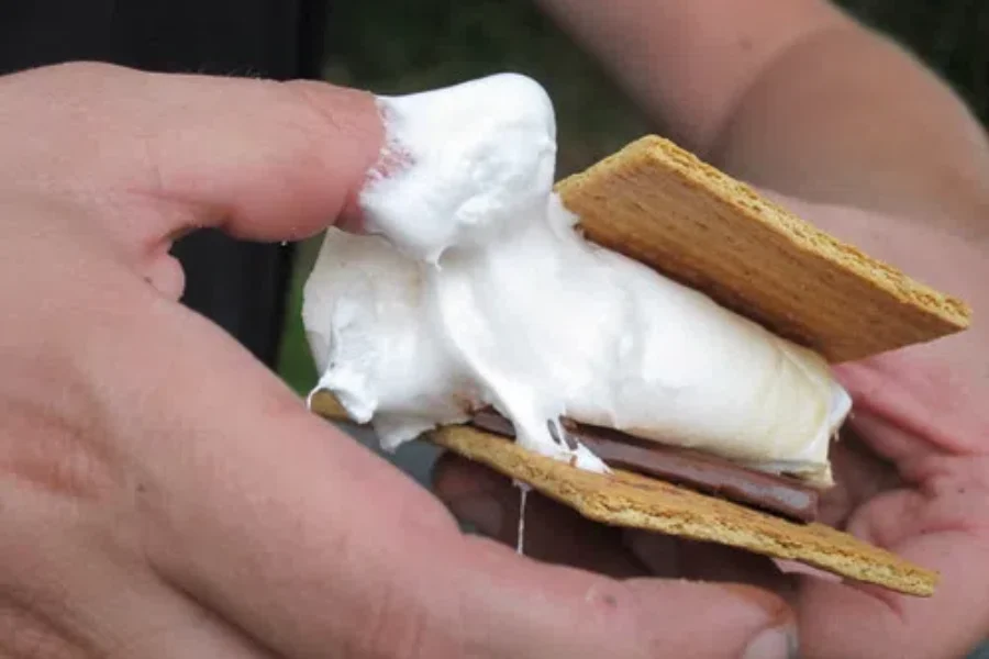 Celebrate S’mores Day with These Fancy S’mores!